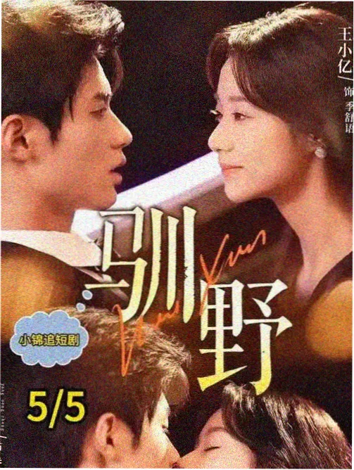 幕后纪录一条狗的十年画面